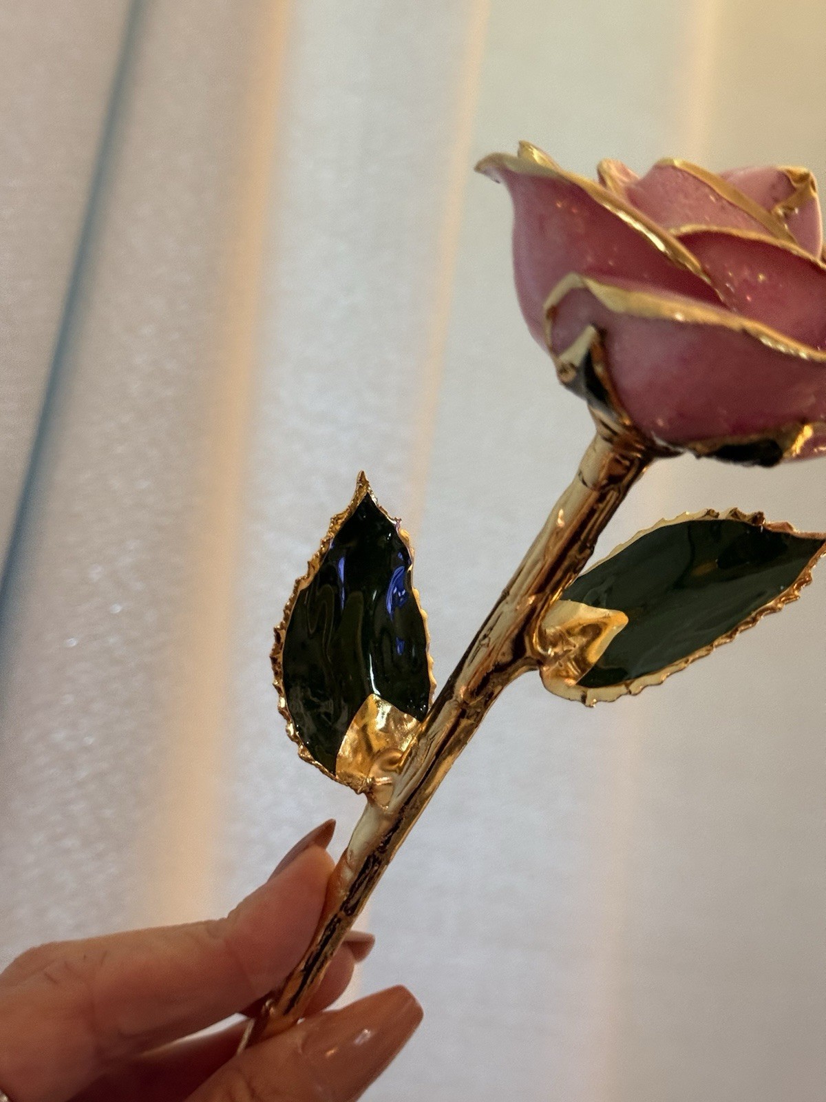 real rose dipped in 24k gold in Plum