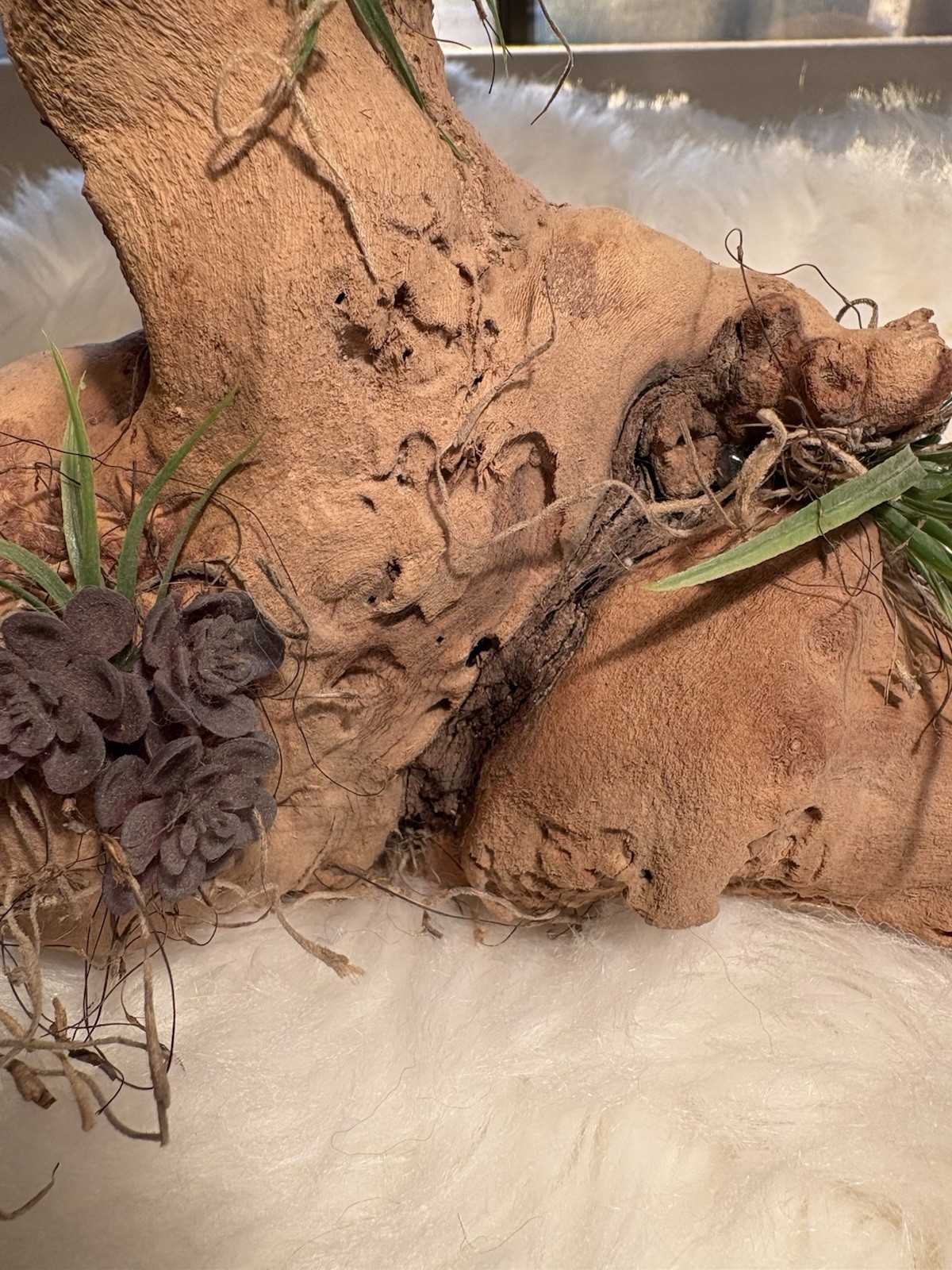 Grapewood Branch Natural Rare Piece Decorative With Colored Succulent Grass