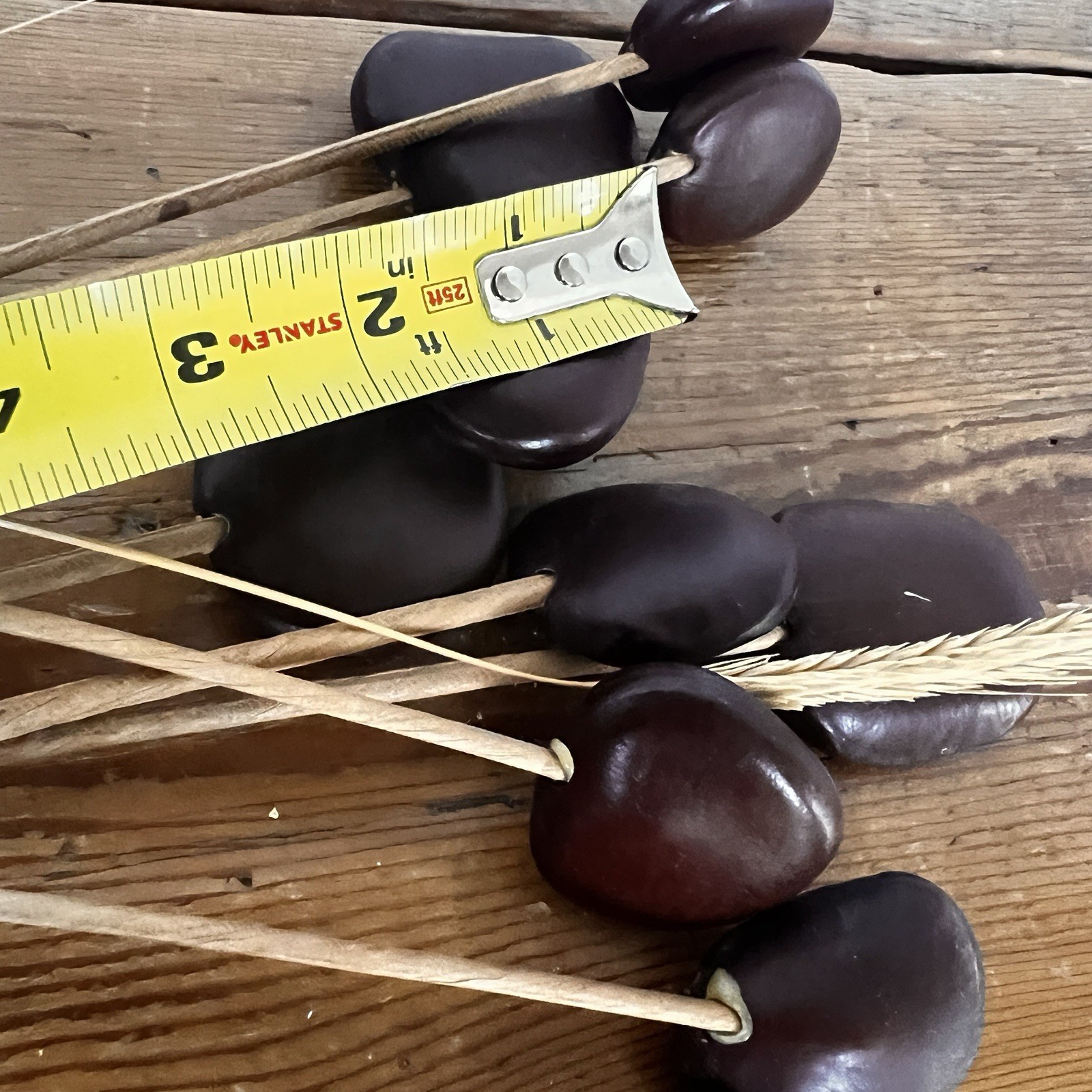 Wood Seed Pods W/Stem (11x) For Floral Arrangements Vases Decor MCM