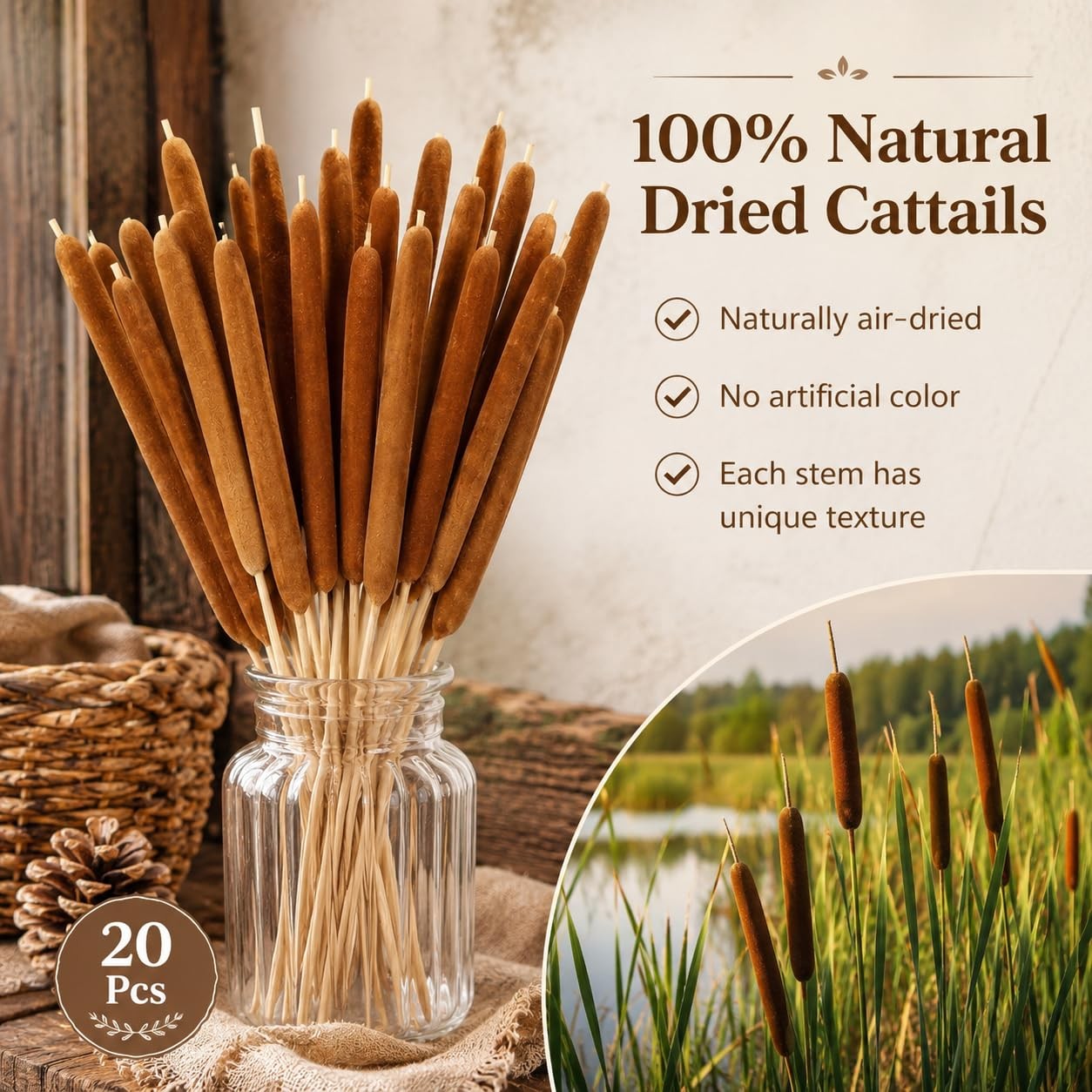 20PCS Dried Natural Cattails Stems 17″ Real Brown Bulrush Reed Grass for Vase…