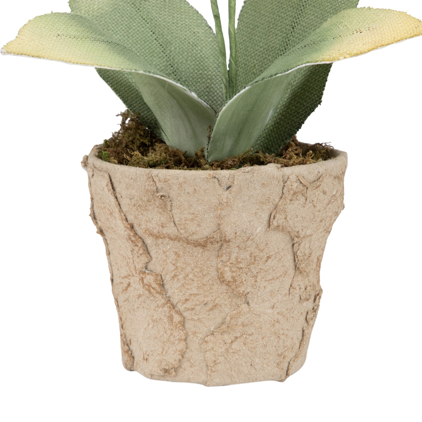 Northlight 14″ Artificial Crimson Red & Deep Banana Yellow Orchids Pot