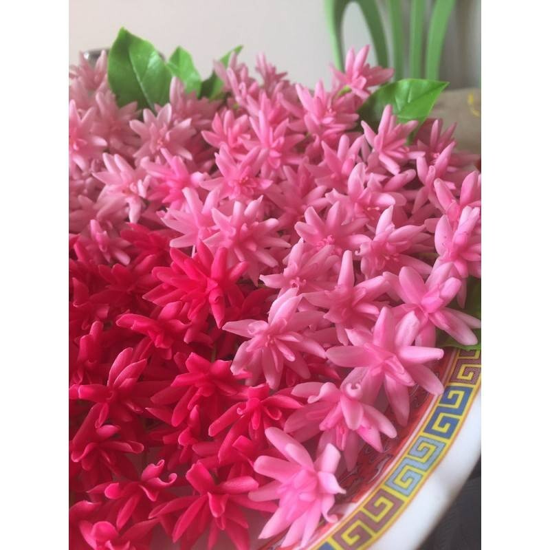 10Pcs. Mix set Rangoon Creeper Flowers Clay Artificial Thai Handmade Decorate