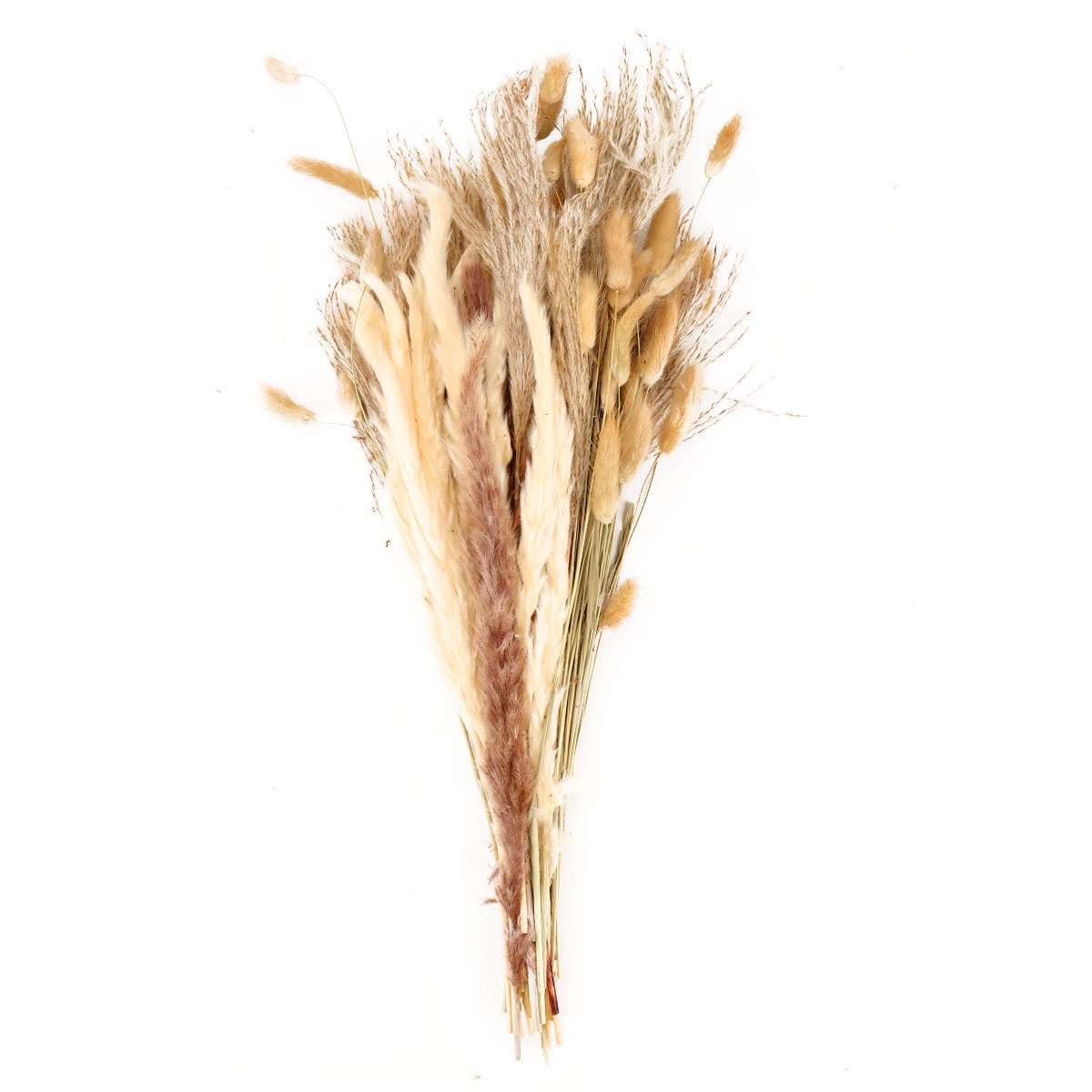 100 PCS Pampas Grass Natural Dried Reed Flower Bunch Home Wedding Decor Bouquets