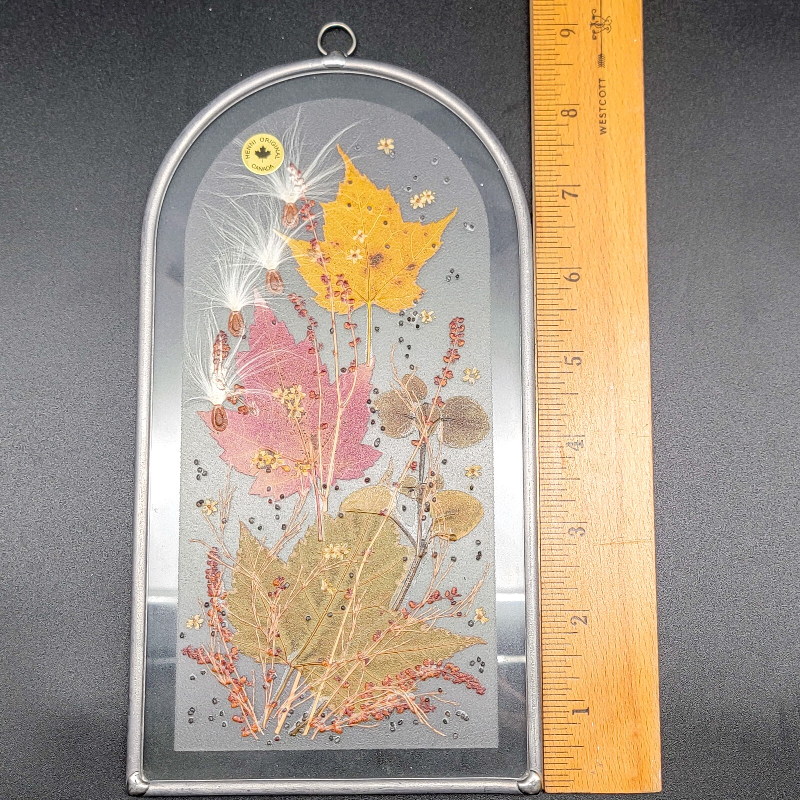 Canada Henni Original Pressed Leaves Seeds Glass Window Hanging Original Label