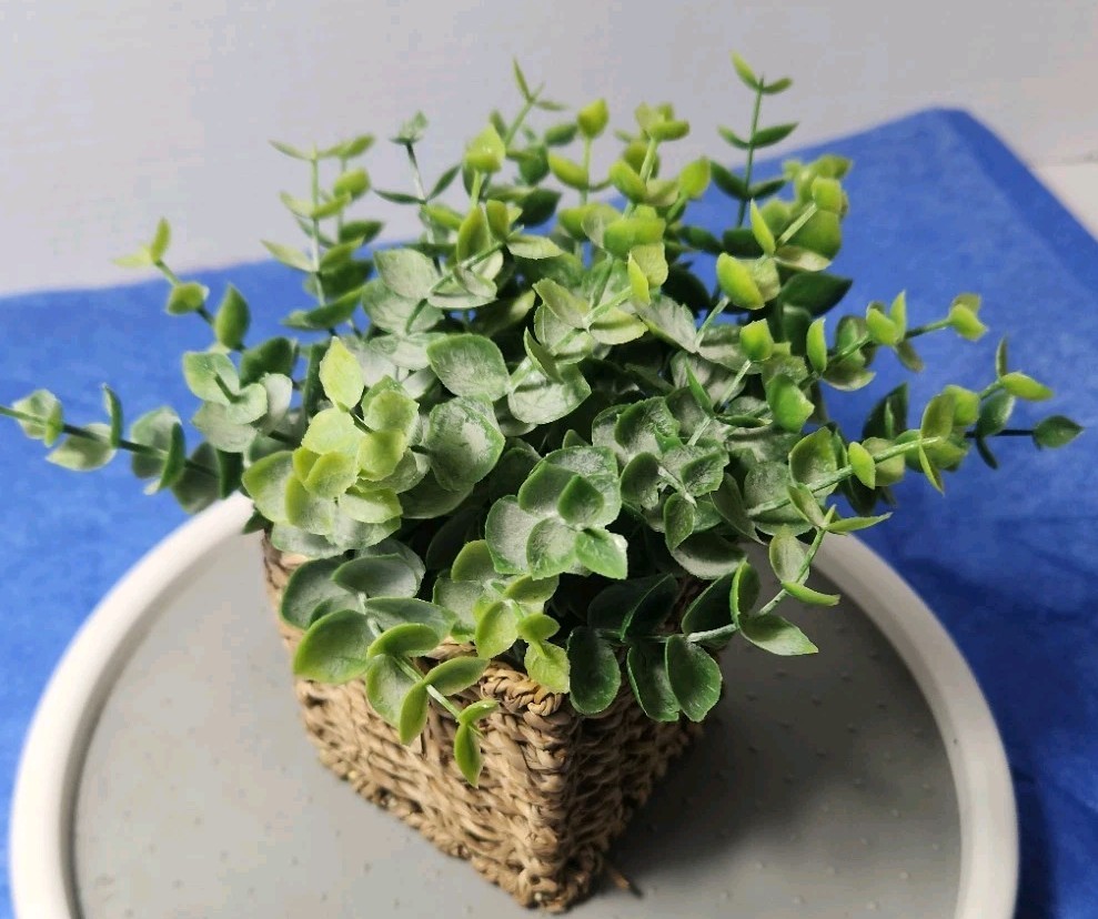Plants Artifical In Flower Pot Basket 4×4 . No Watering!