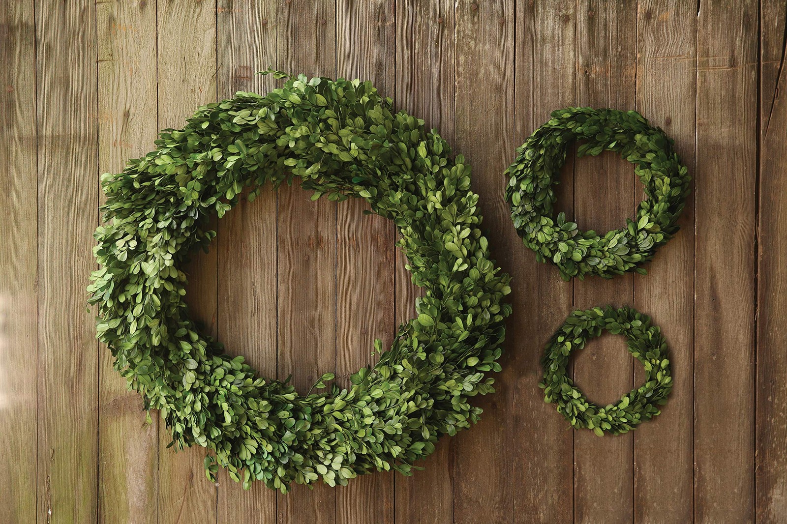 9.75 Inch Preserved Boxwood Evergreen Wreath for Indoor Home Decor Greenery