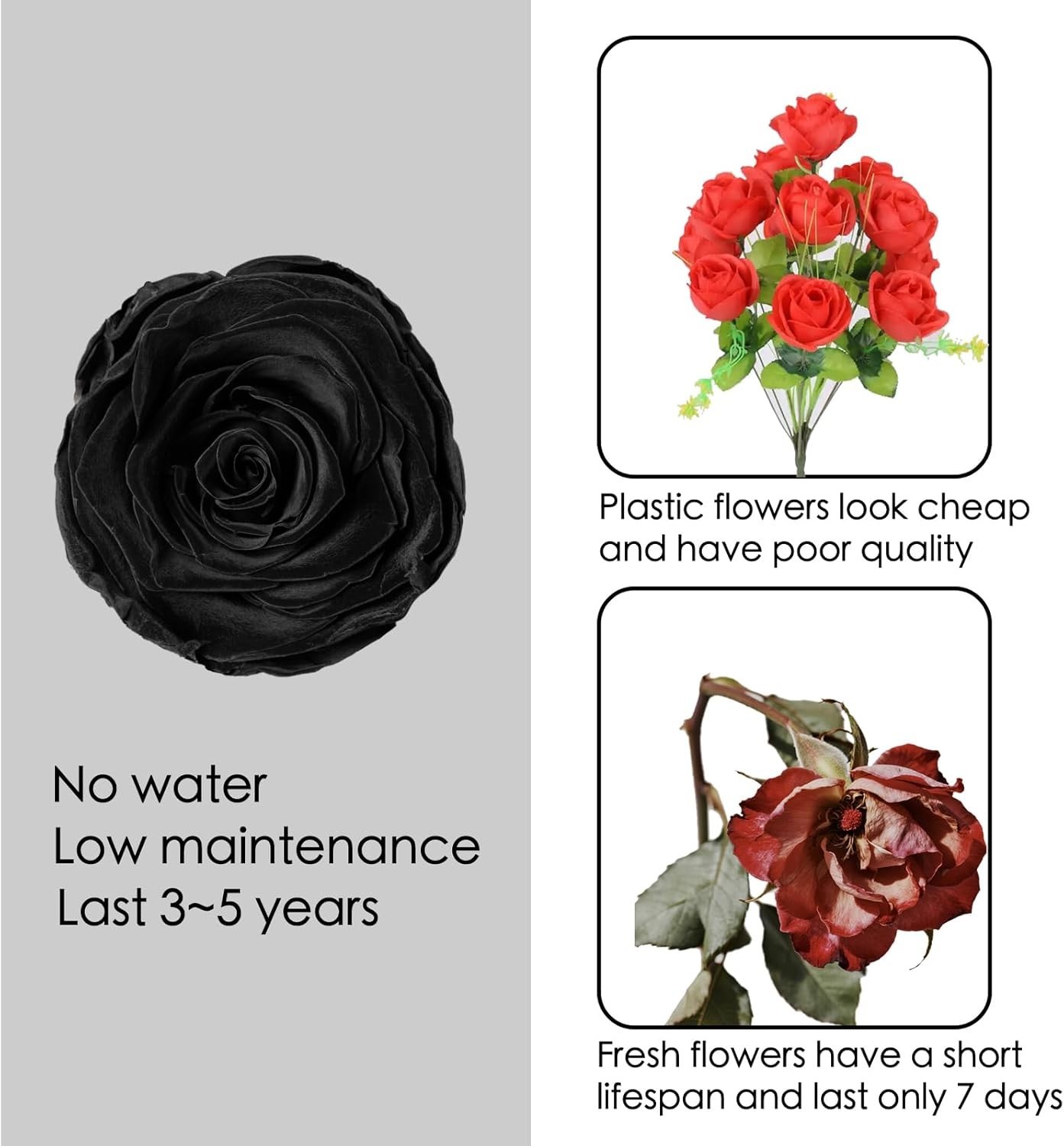 Delicate Black Preserved Roses Gift Box – Perfect for Anniversaries & Birthdays