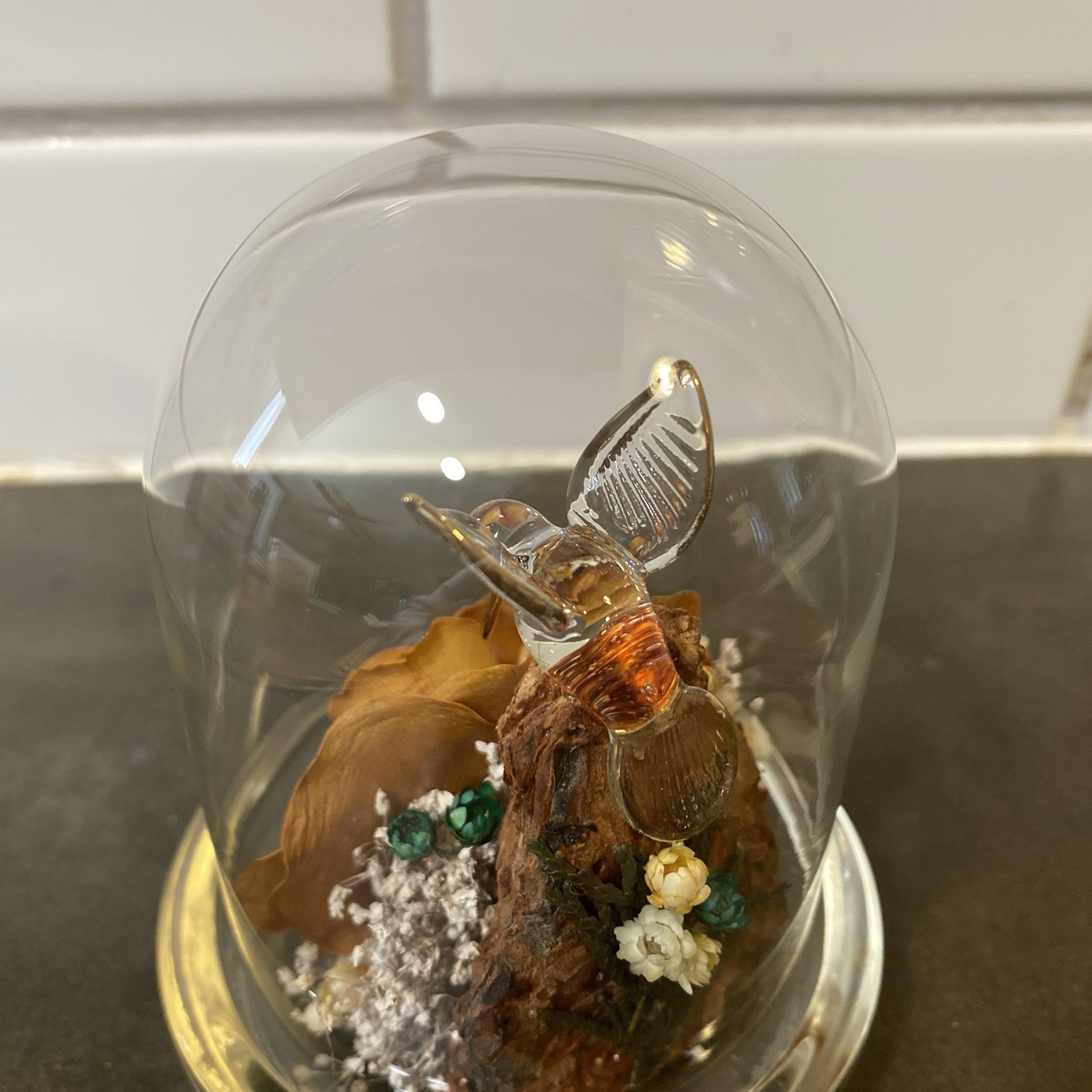 Colorado Naturals Dried Rose Floral Glass Dome Display with Glass Humming Bird