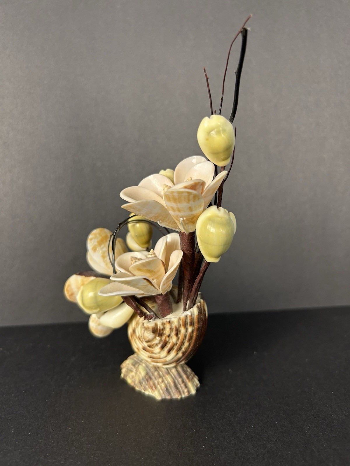 Vintage Cottagecore Kitschy Hand Made Sea Shell Floral Arrangement 6”x4”