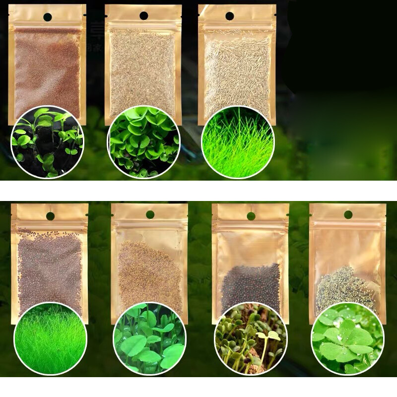 Aquarium Plant seeds Fish Tank Aquatic Water Grass Foreground Easy Plants 10g