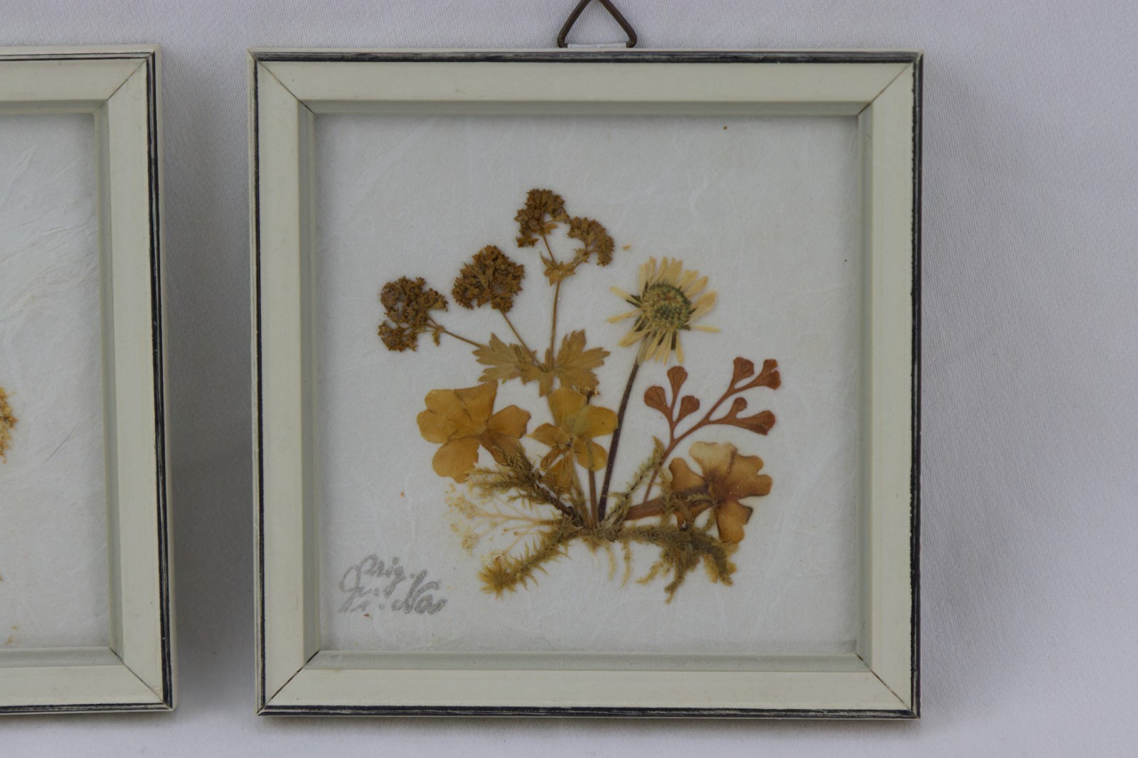 German Mini Framed Dried Flower Arrangements, Tagged, LOT OF 2
