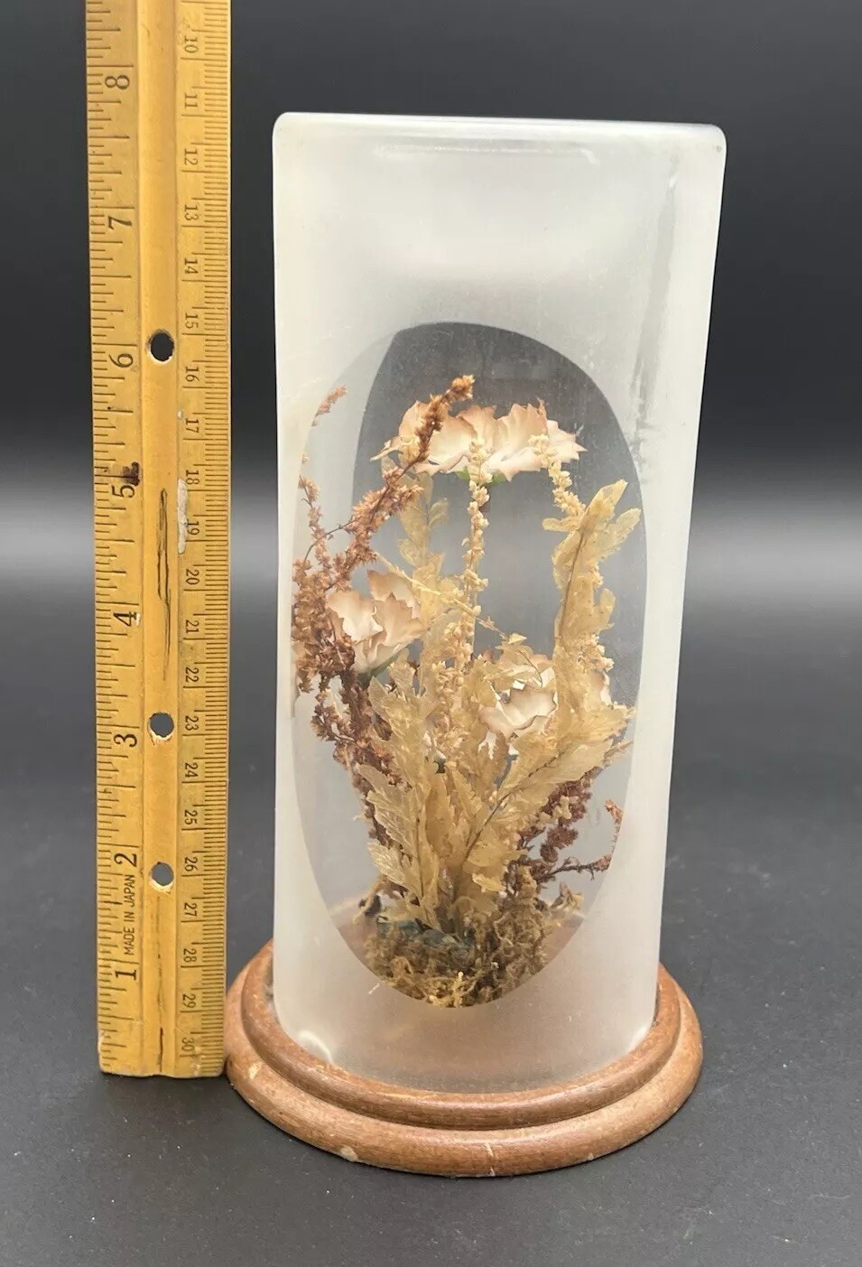 Vintage Terrarium Dome Display Dried Flowers Wood Base 1970s 7.75”