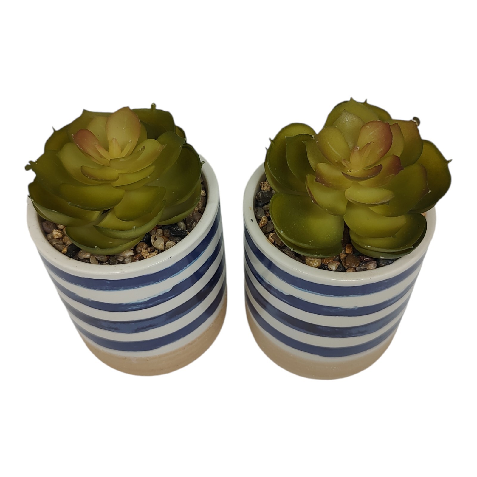 Set of 2 Faux Succulents In Ceramic Pots Rustic Coastal Small Artificial Plants