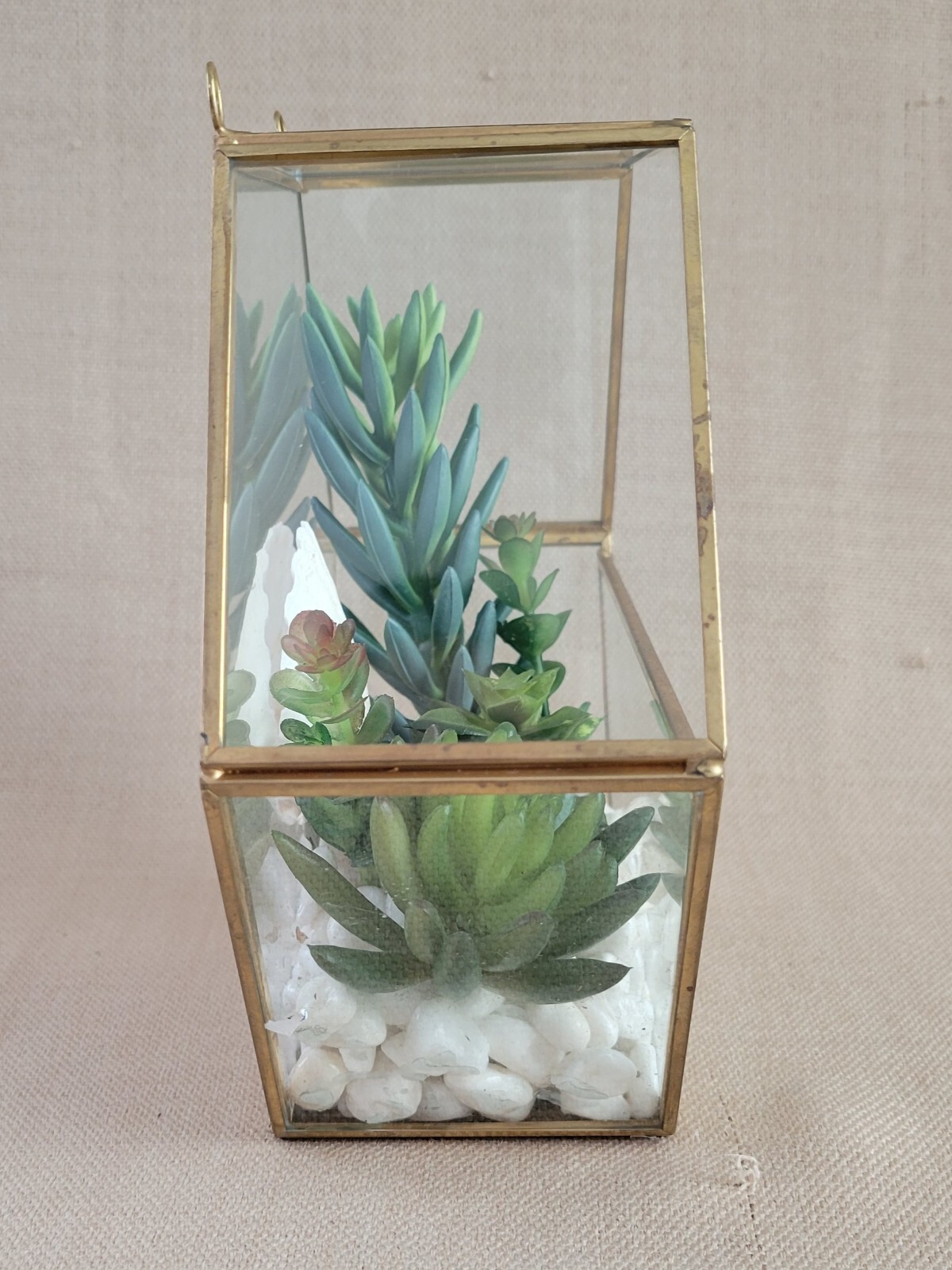 Plant Terrarium Geometric Gold Edge Planter Artificial Succulent Open Side Glass