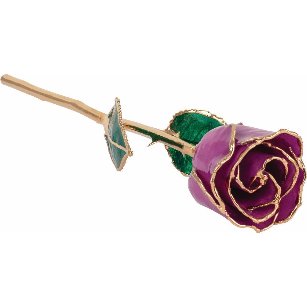 24k Gold Dipped Amethyst Colored Lacquer Real Rose Valentine’s Day Holiday Gift