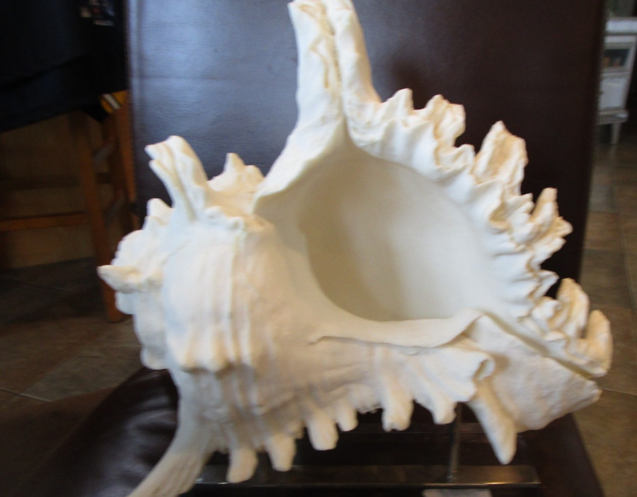 Williams Sonoma Conch on stand seashell sculpture on base glass beach shell GUC