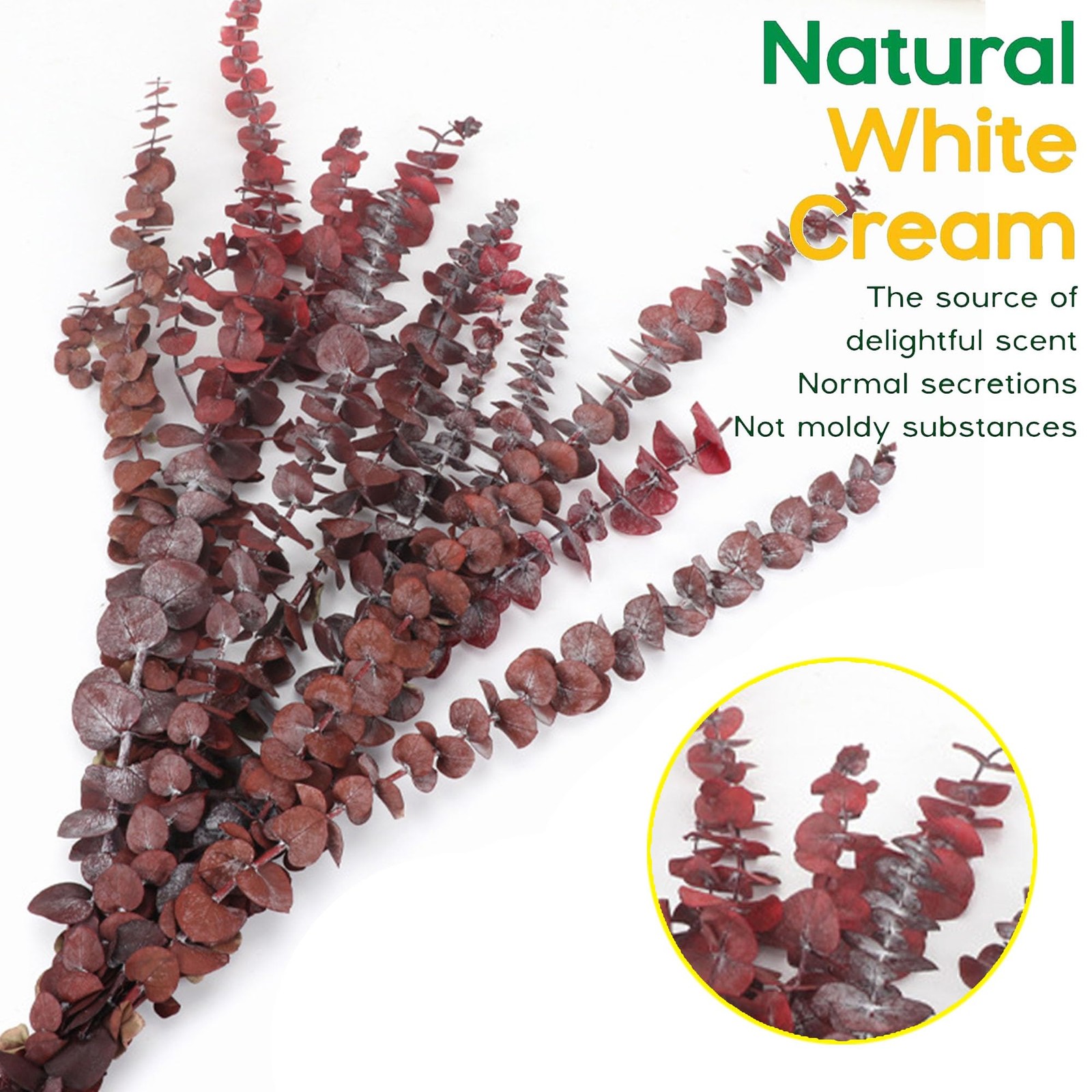 Dried Red Eucalyptus Stems 20 Pcs 16 Inch Natural Branches – Wedding & Home