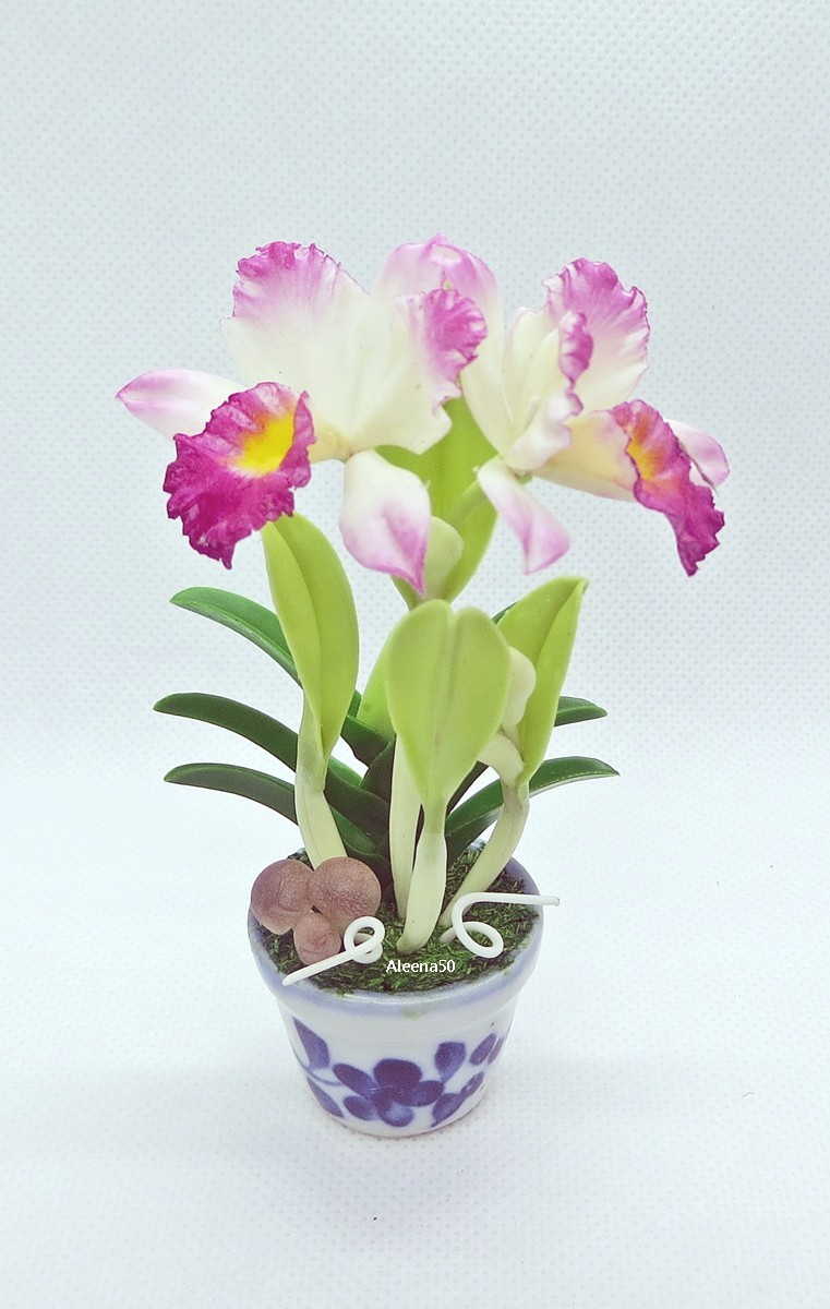 US Stock 4″H Handmade Miniature Air-Dry-Clay-Crafted Catalunya Orchid Arranged.