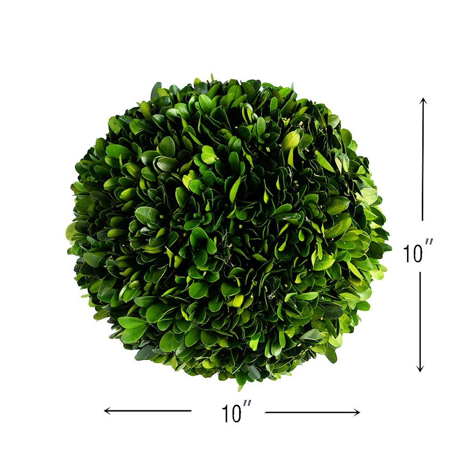 Boxwood Topiary Ball 10″ Preserved Boxwood Topiary Plant Wedding Decor Indoor…