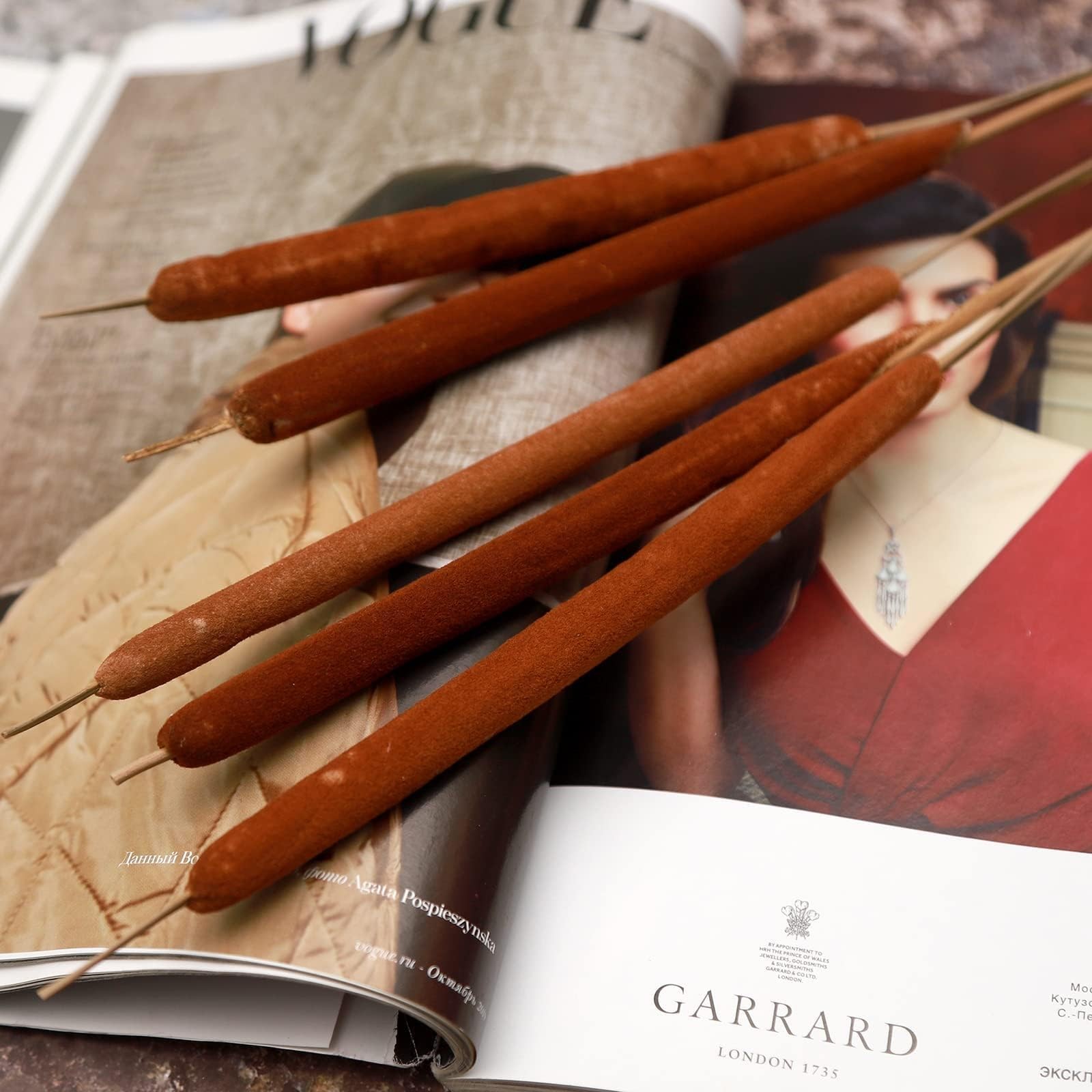 Dried Natural Cattails Jumbo Size For DIY Floral Decor 0.75×24 Inch 20 PCS