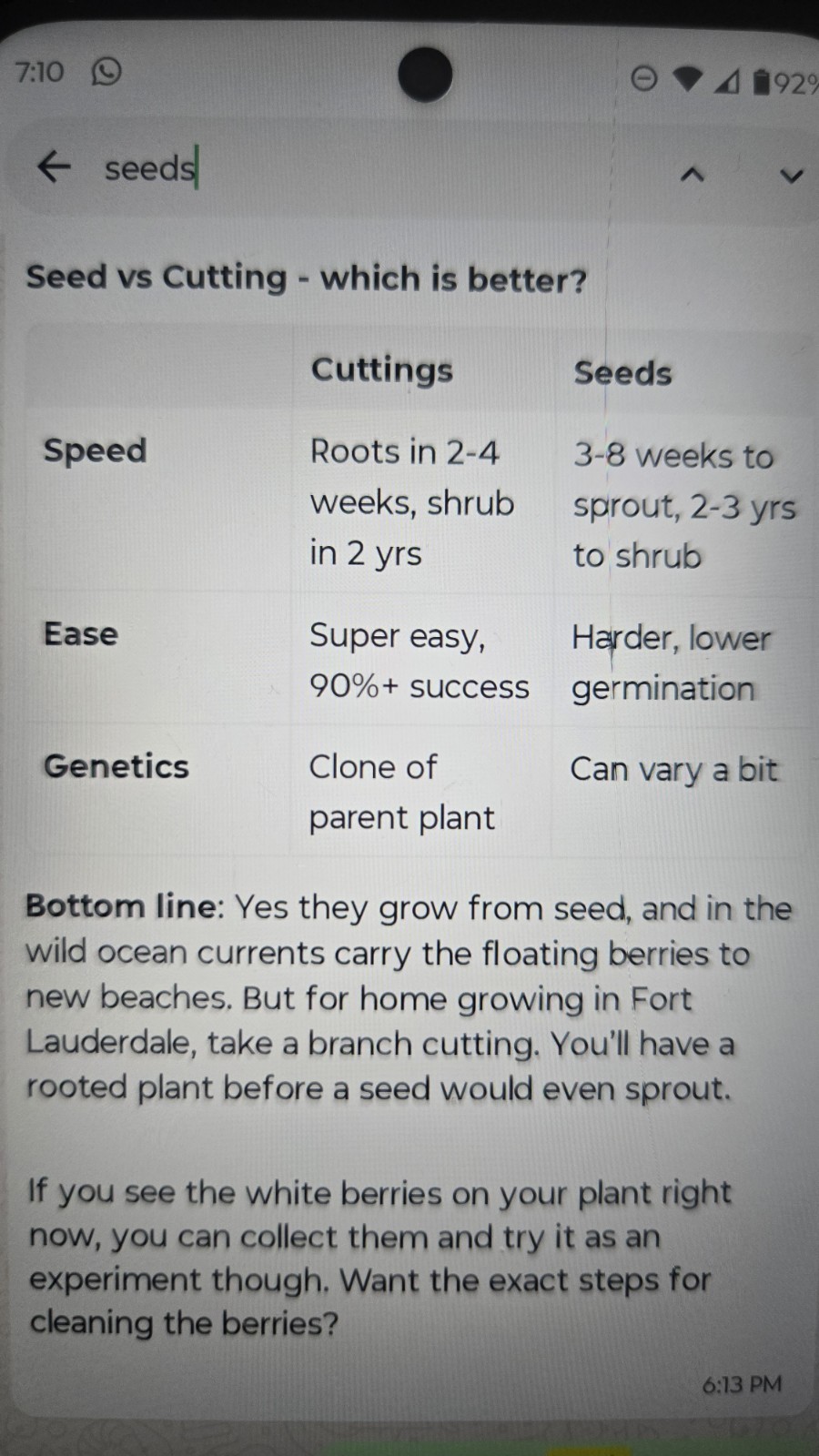 Beach Naupaka Seeds Or Branches For Growing SEA LETTUCE Tree Scaevola Taccada FL