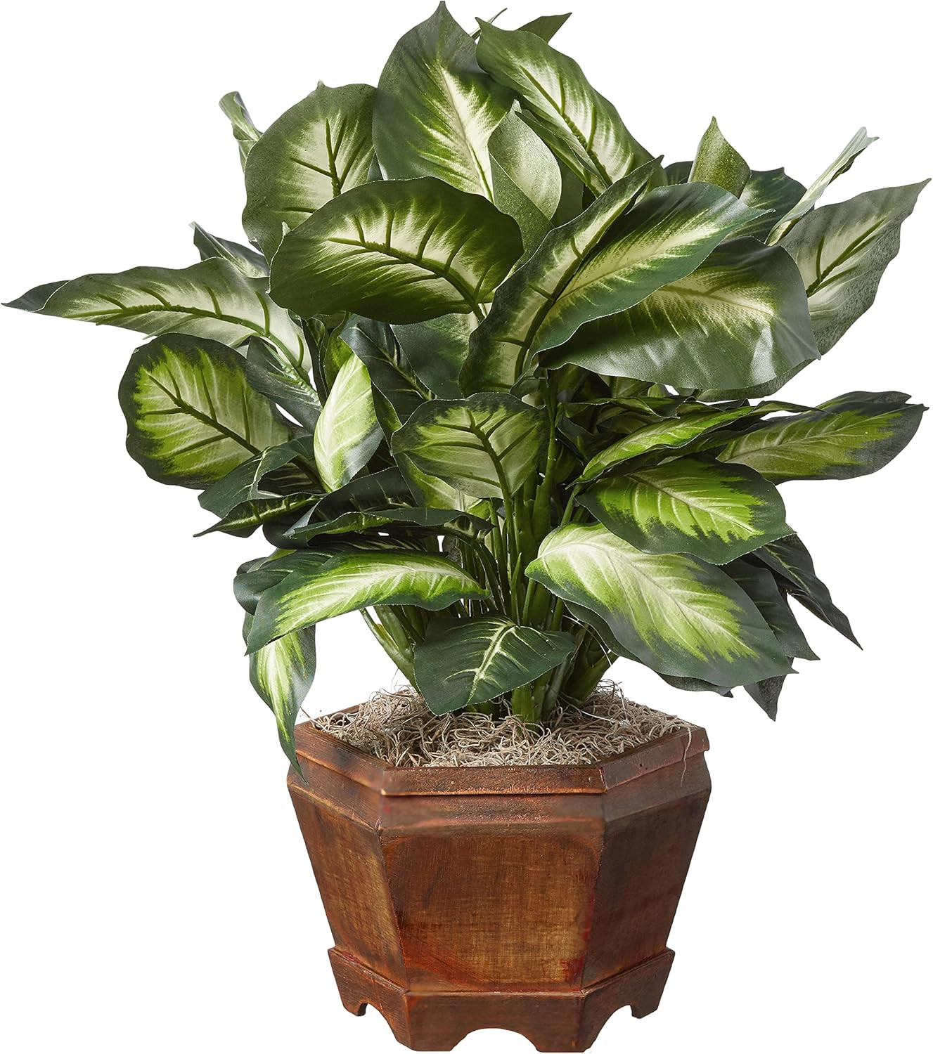 22IN Artificial Triple Golden Dieffenbachia Plant with Decorative Wood Planter,