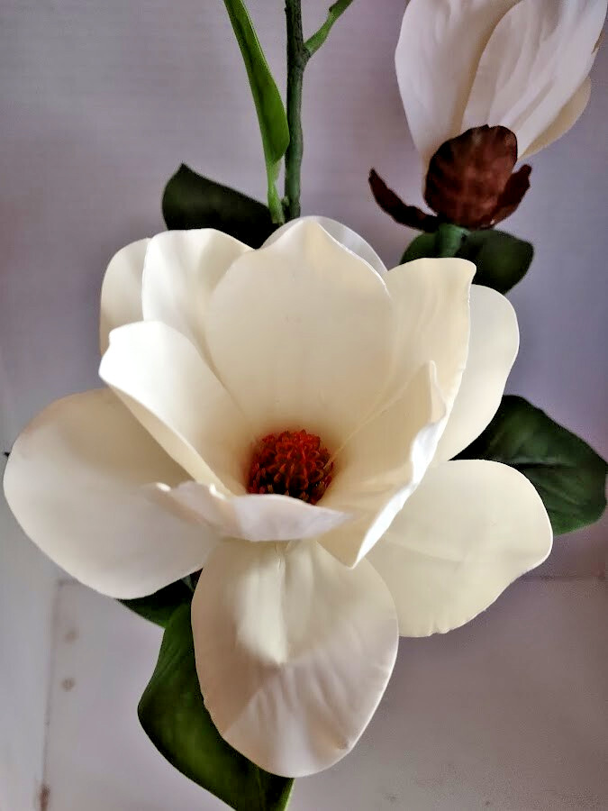 Magnolia stem bush CREAM