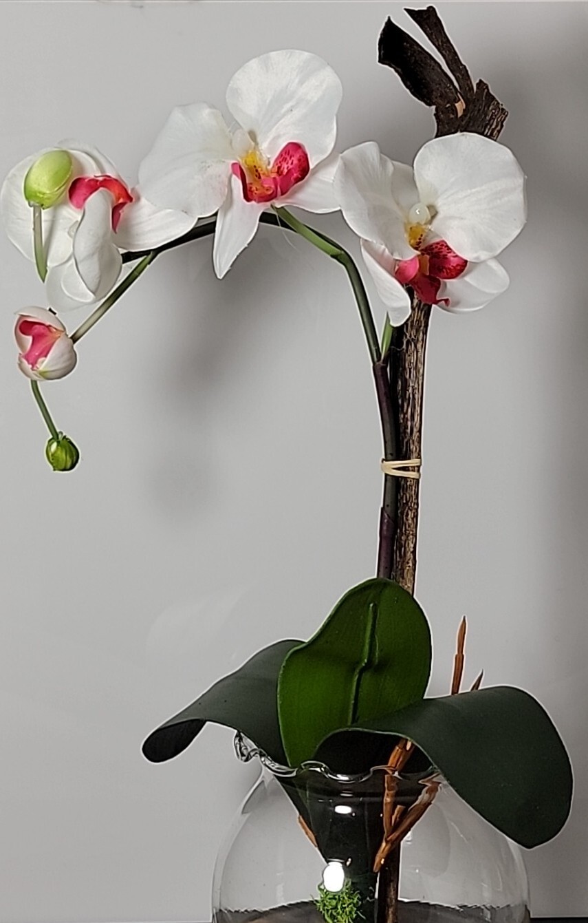 Nearly Natural 1277-WH Mini Phalaenopsis with Fluted Vase Silk Flower Arrangemen