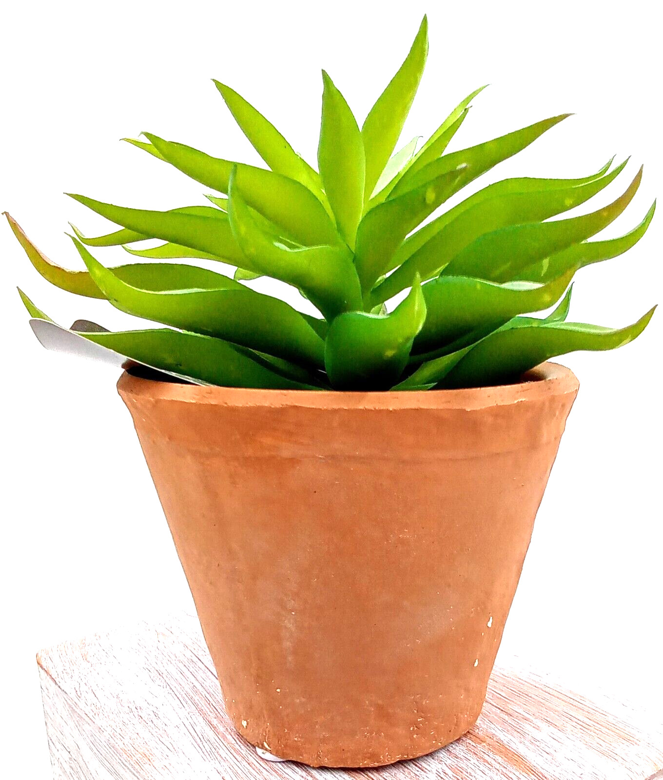 Succulent Clay Pot Planter Artificial Faux Dirt Plastic Green Floral Indoor 6″