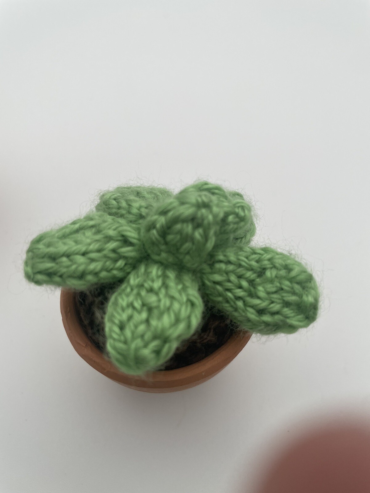 Two Small Knit Cactus Potted Plants Pink & Green In Small Terracotta Pots