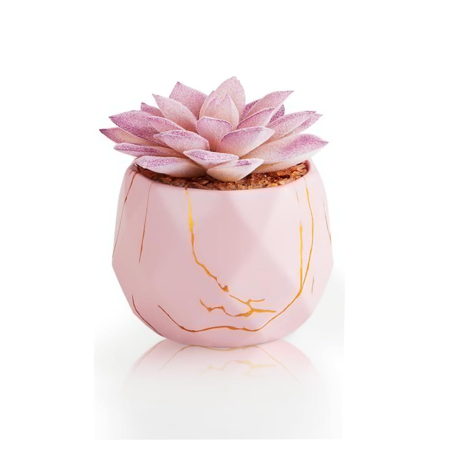Artificial Succulent Plants in 1 Pink Ceramic Pots, Cute Fake Plants for Vani…