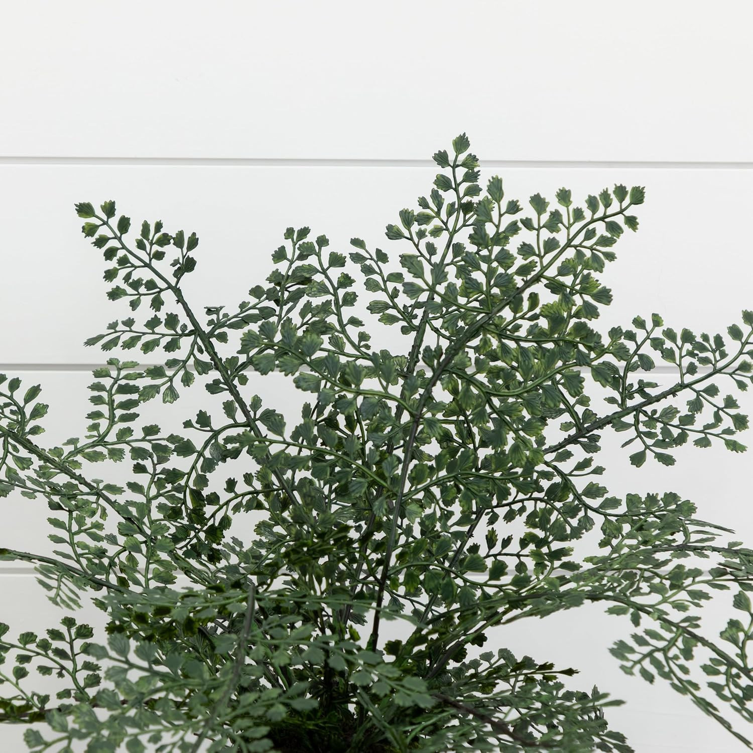 4251 Maiden Hair Artificial Plant in Planter Green Small