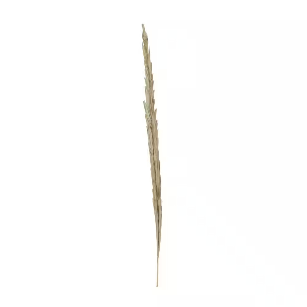 61 In. Tall Natural Foliage with Grass (One Bundle)