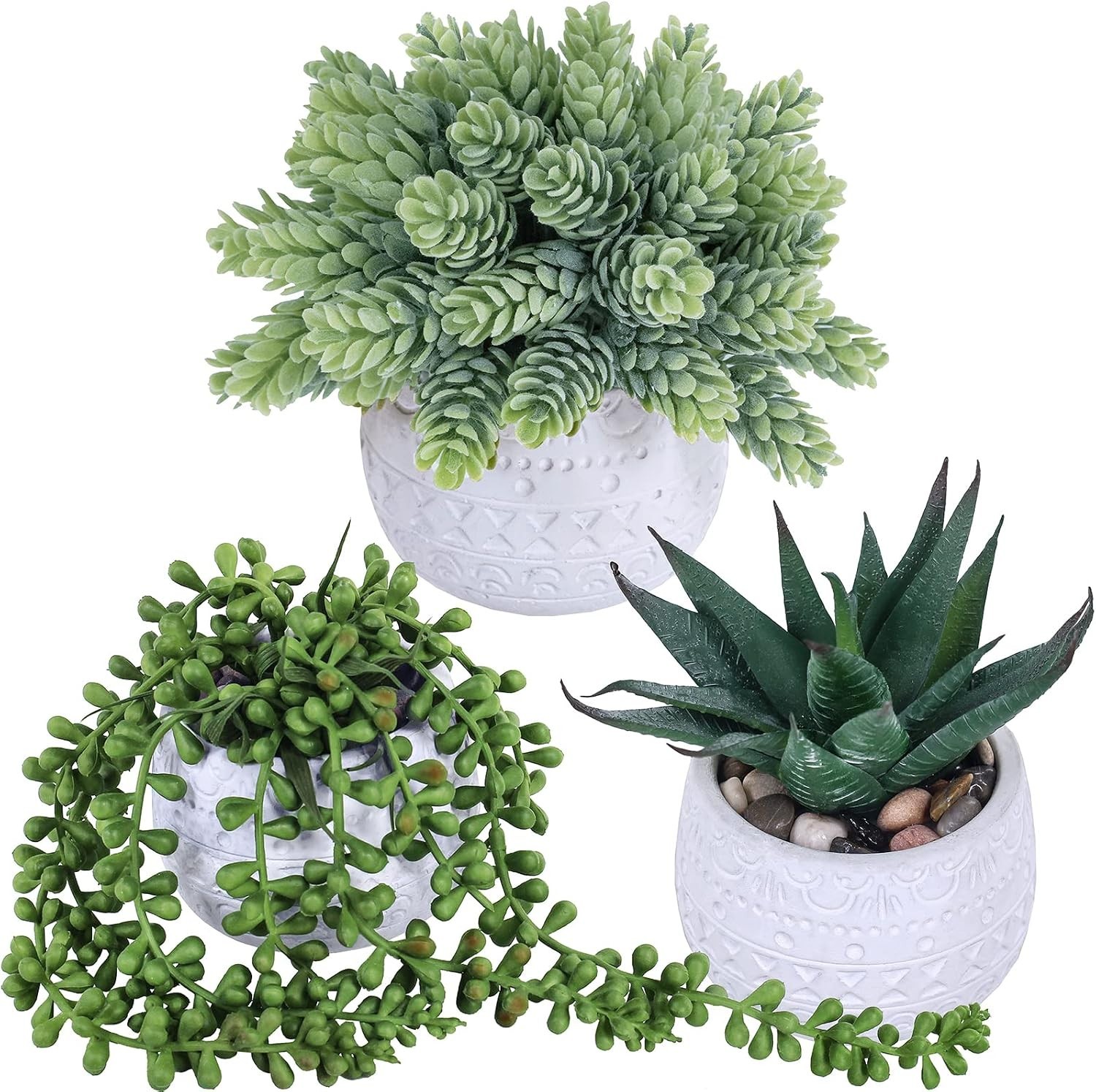 Elegant Succulent Trio in Geometric Ceramic Pots – Perfect for All Occasions