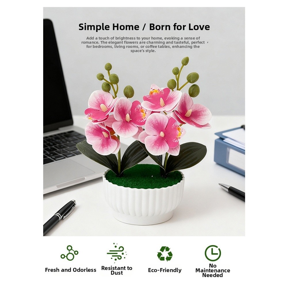 Phalaenopsis Orchid Simulation Potted Flower for Contemporary Interior Design