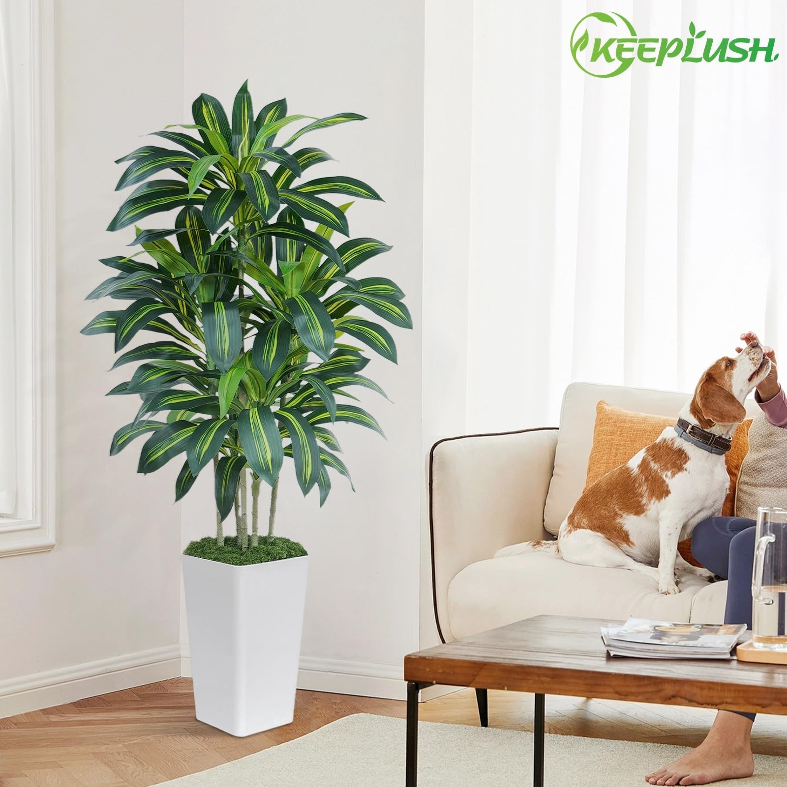 Keeplush 5FT Artificial Dracaena Tree – High-Density Foliage Fake Plant White