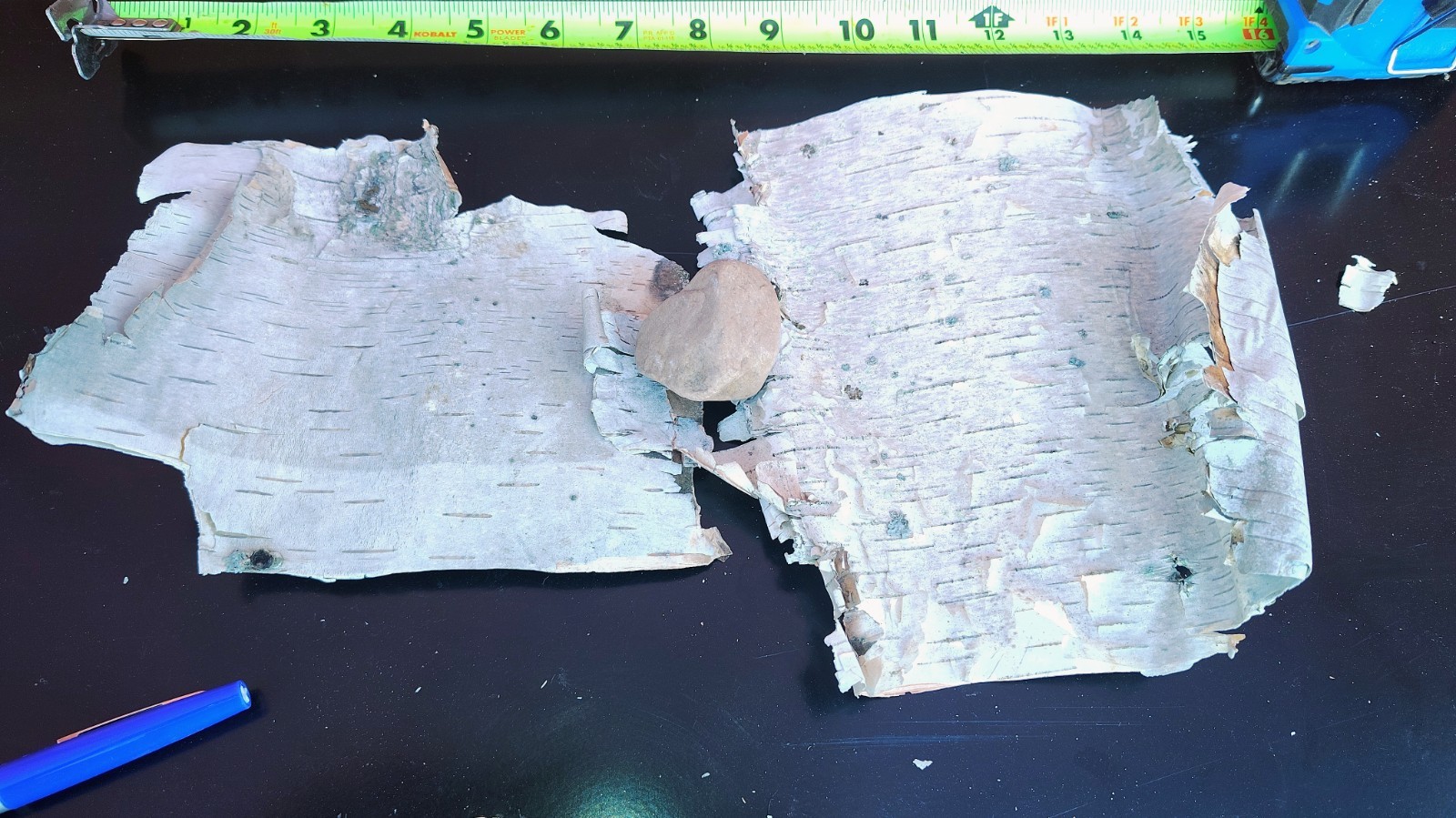 3 pieces 0f Natural White Birch Bark Sheets Crafting Holiday Decor