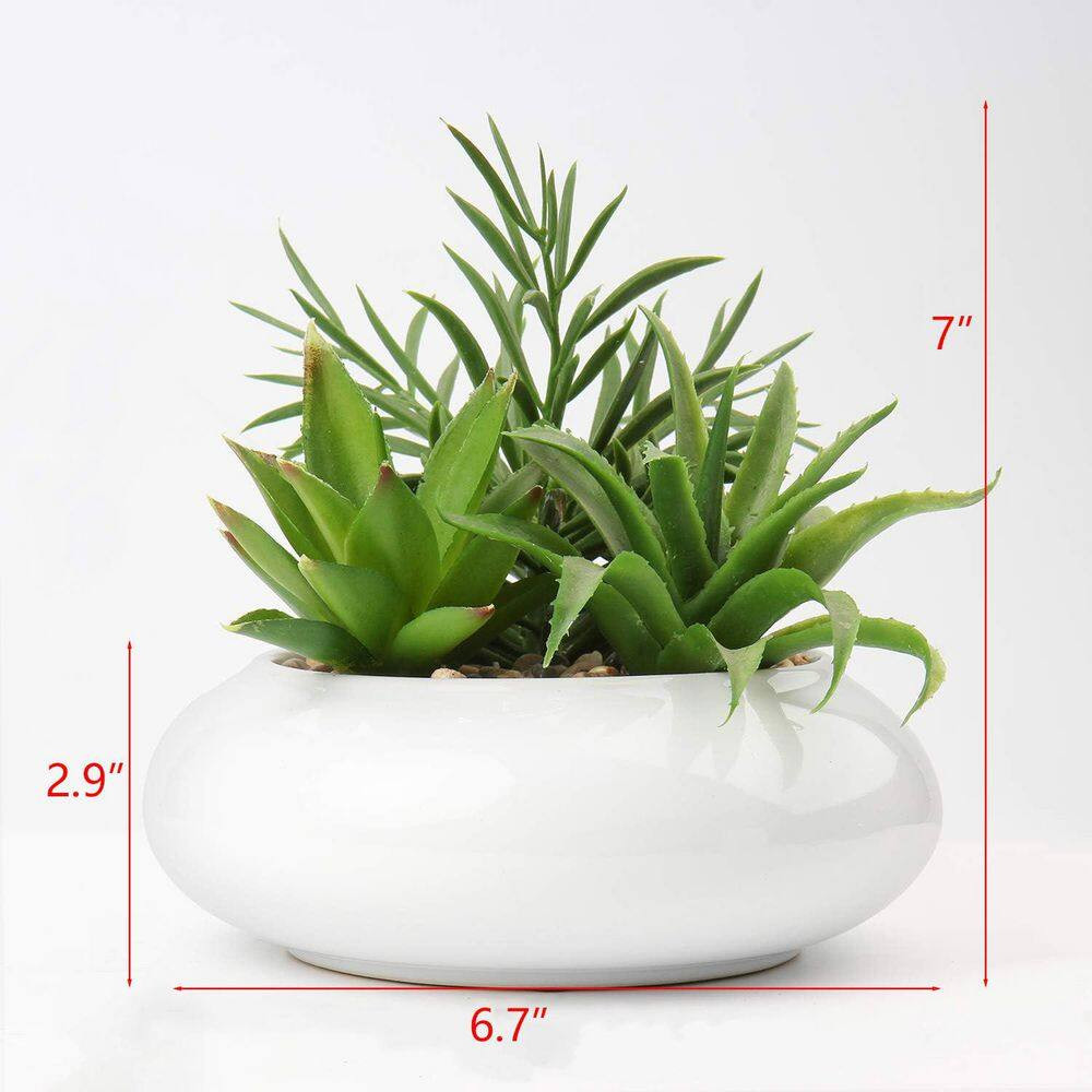 Potted Artificial Succulent Plant with White Ceramic Pot