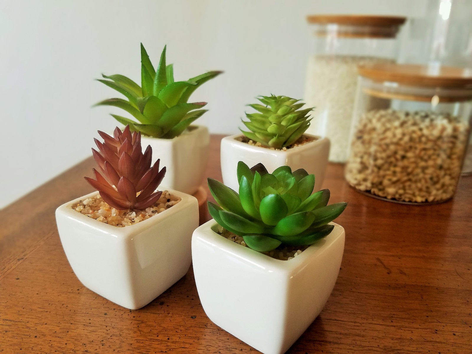 Party Favor Artificial Succulent Set in White Ceramic Pot Mini Plant Home Decor