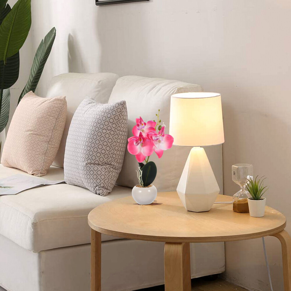 Phalaenopsis Bonsai Prop Simulation Phalaenopsis Plant Fake Phalaenopsis Decor