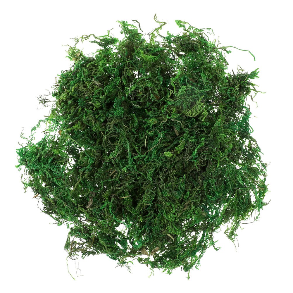 Artifical Moss for Bonsai Artificial Decorative Aftificial Green