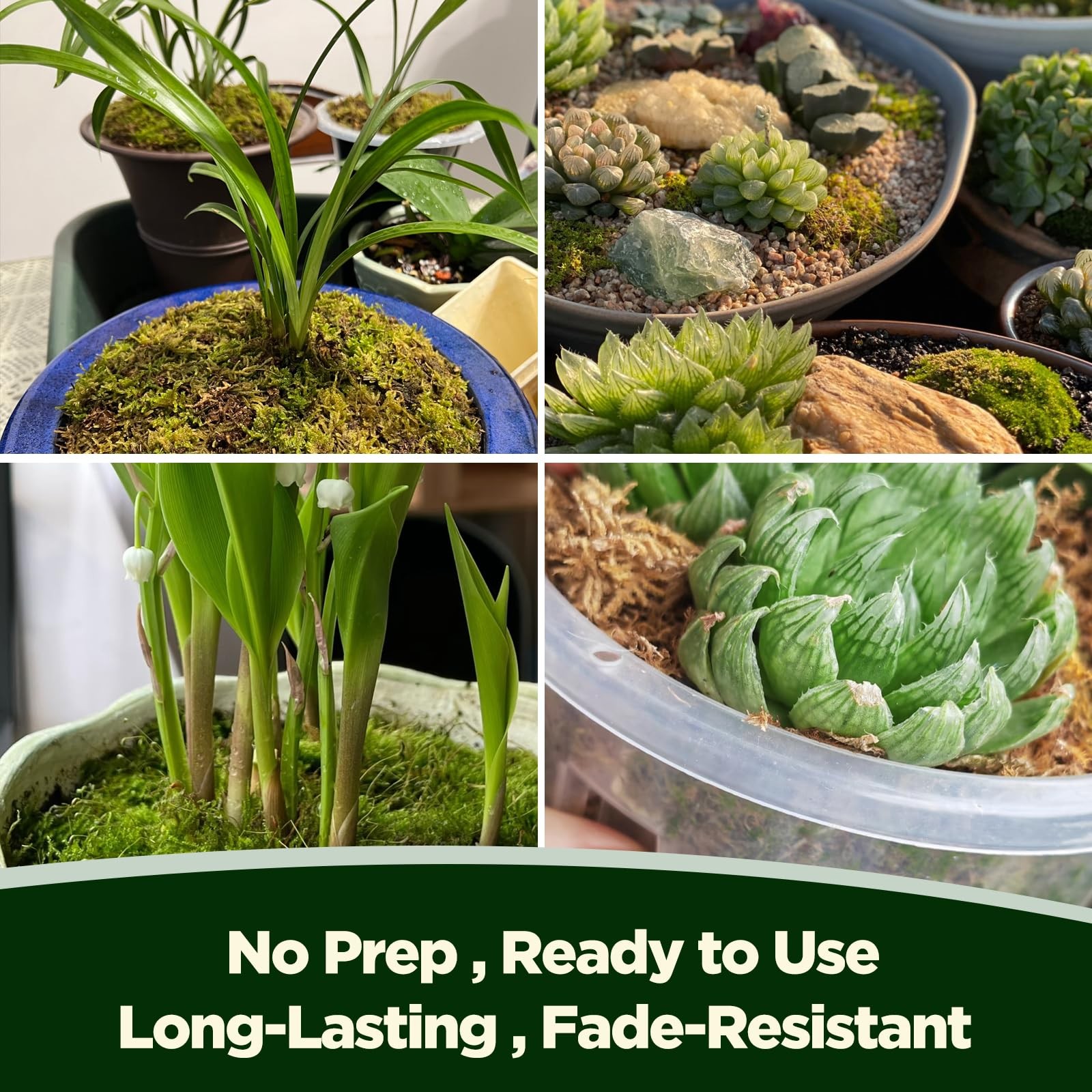 1.1 LBS Artificial Fake Moss Premium Faux Terrarium Craft Natural Green Decor