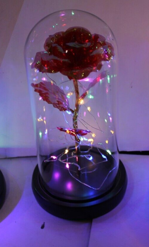 Red Eternal Rose w LED Lights in Glass Dome Mothers Valentines Anniversary Gift
