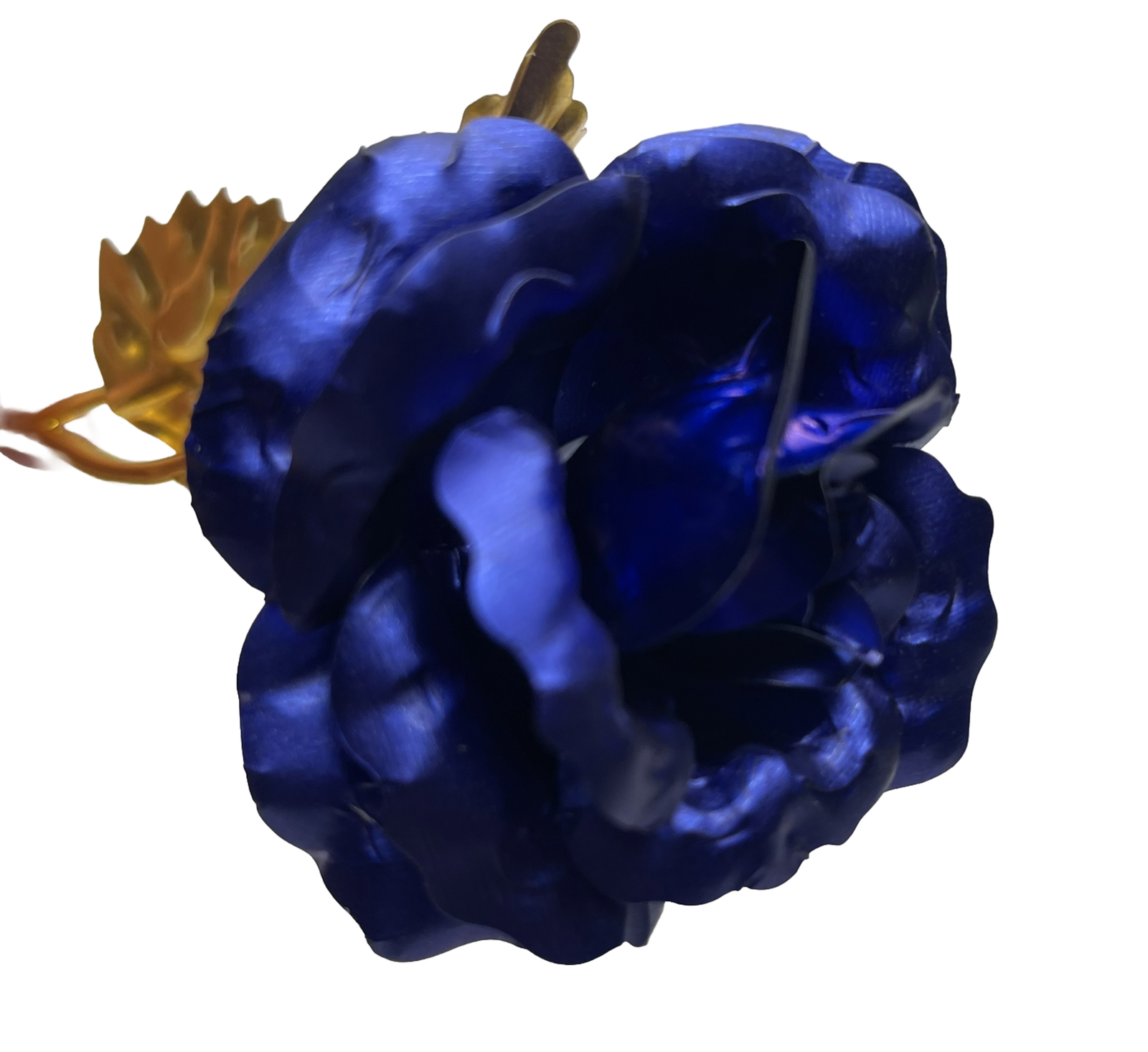 24 K Golden Foil Rose With Box Blue And Gold Plated
