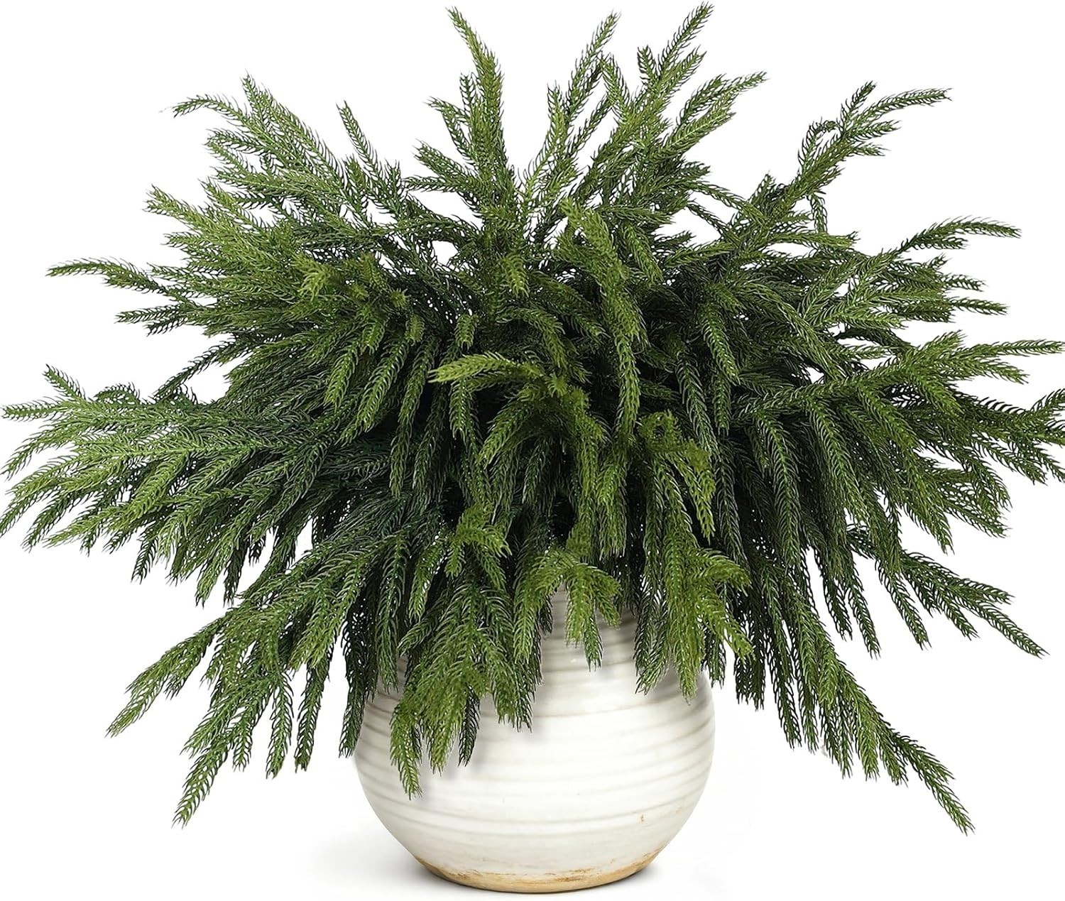 20 Pcs 18″Lifelike Touch Artificial Norfolk Pine Branches for Christmas | Rea…
