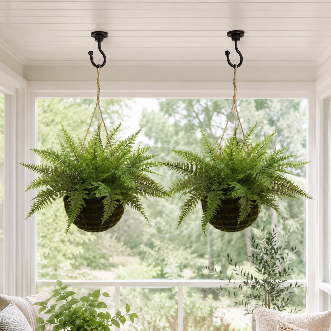 Leather Fern w/Hanging Basket (Indoor/Outdoor) (Set of 2)