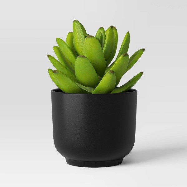 Succulent Artificial in Black Pot