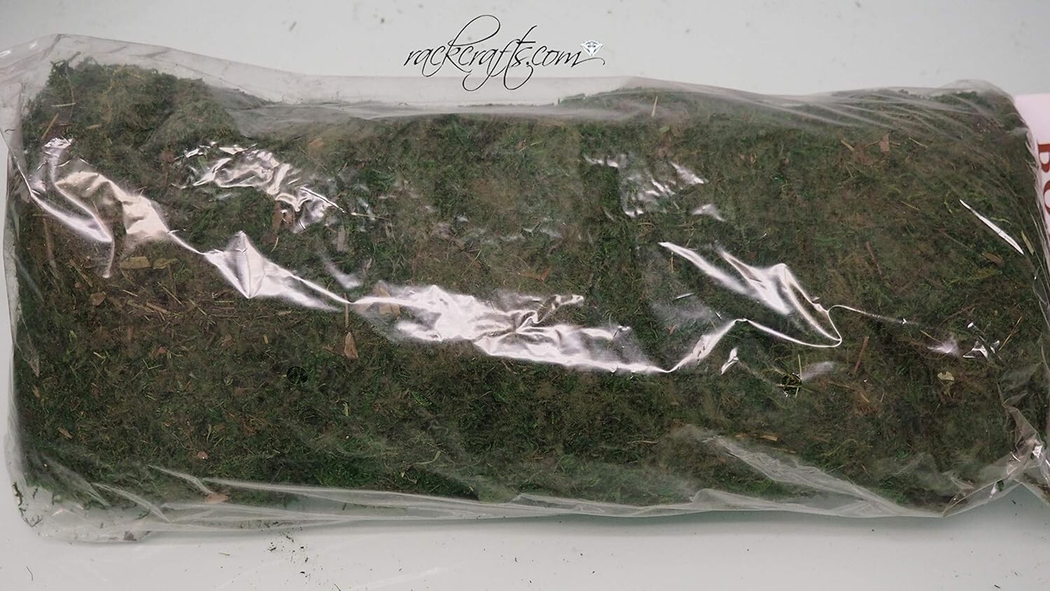 Dried Organic Reindeer Moss Green Vase Filler Planter Topper Wedding XXLarge Bag