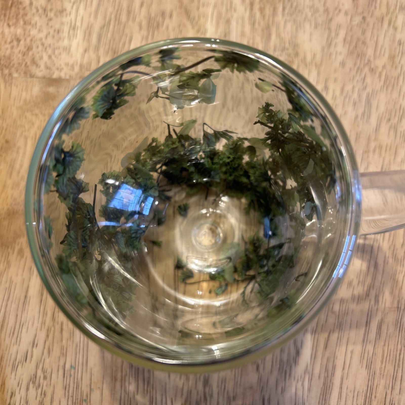 Dried Flower Glass Mug – Double Wall Clear Coffee Tea Cup – Botanical Floral