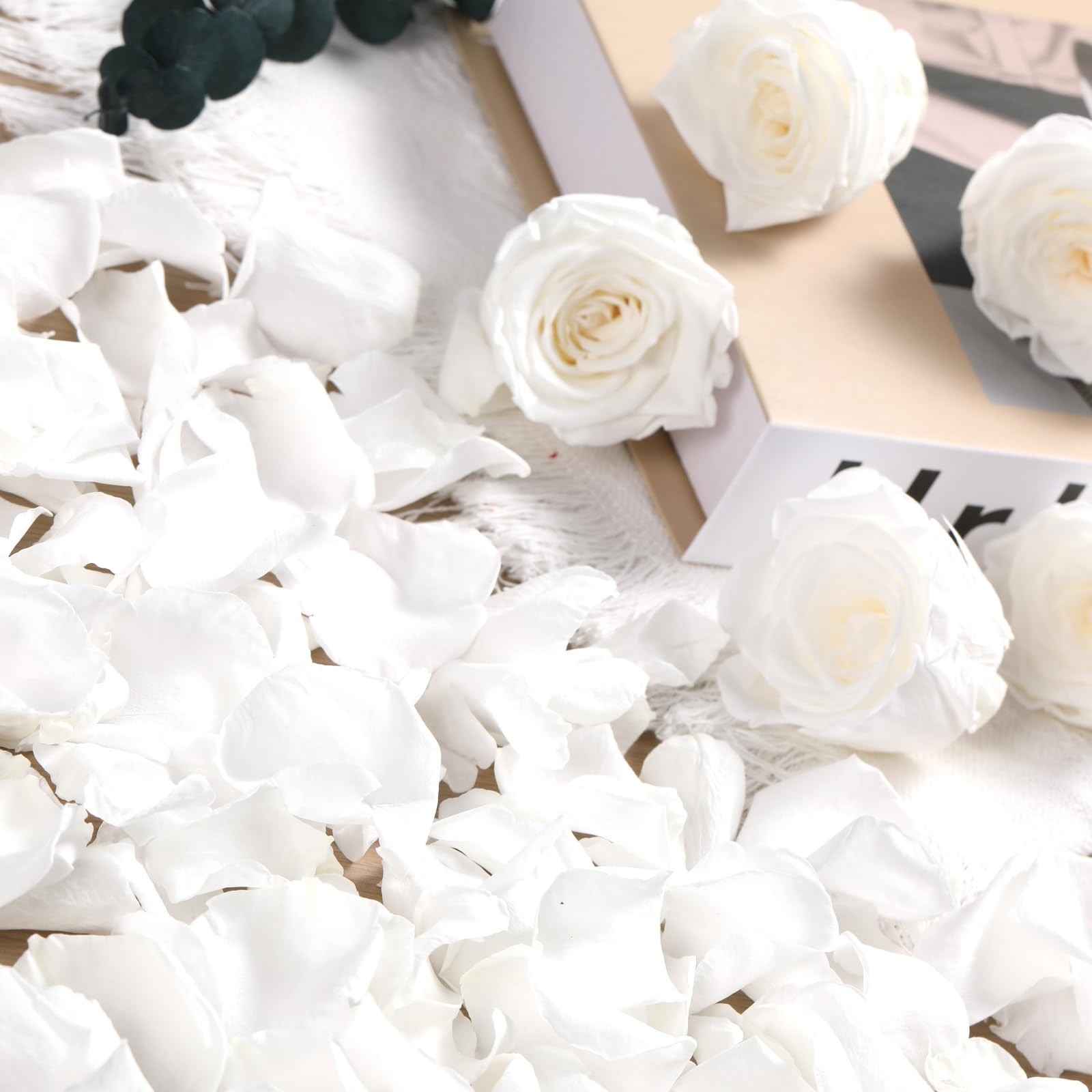 1.4oz White Dried Real Rose Petals, Natural Preserved, Wedding Confetti Decor